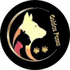 WhatsApp Image 2025-06-15 at 19.04.35_1cfa388c